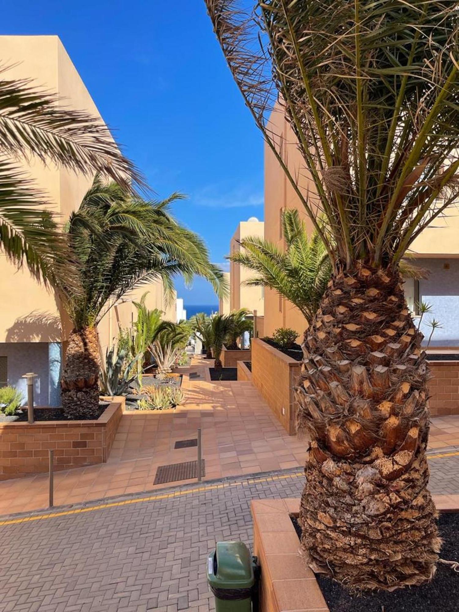 Apartamento Casa Reina Playa Jandia Exterior foto